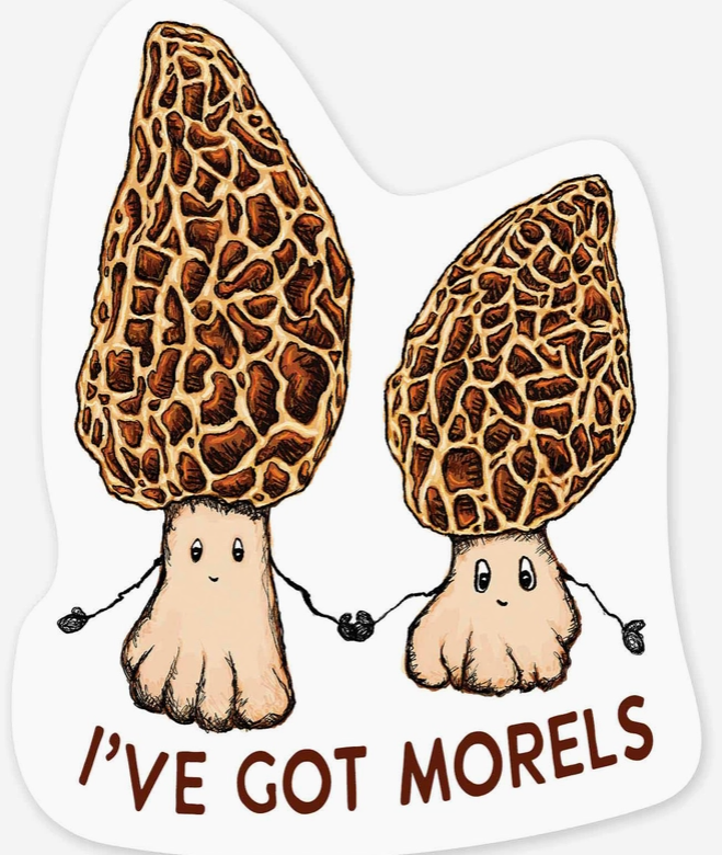 Morels Magnet
