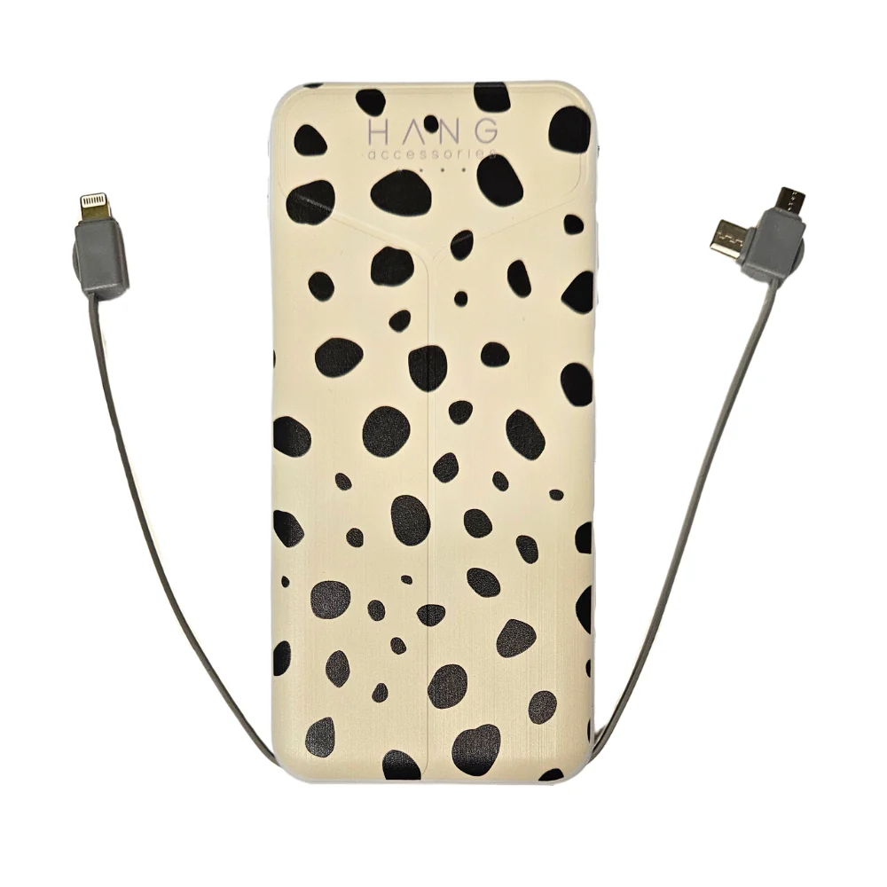 Portable Charging Bank