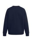 The Collegiate Sweatshirt