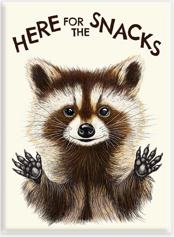 Raccoon Snacks Magnet