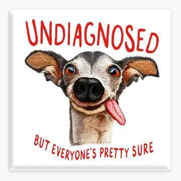 Undiagnosed Magnet