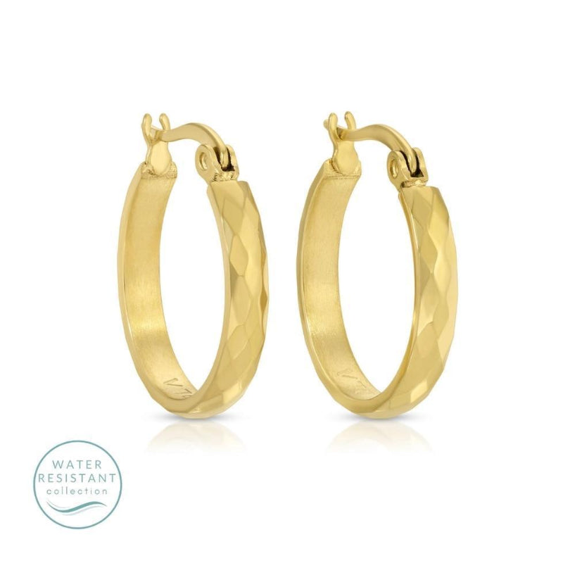 Splendid Iris Textured Latch Back Hoops
