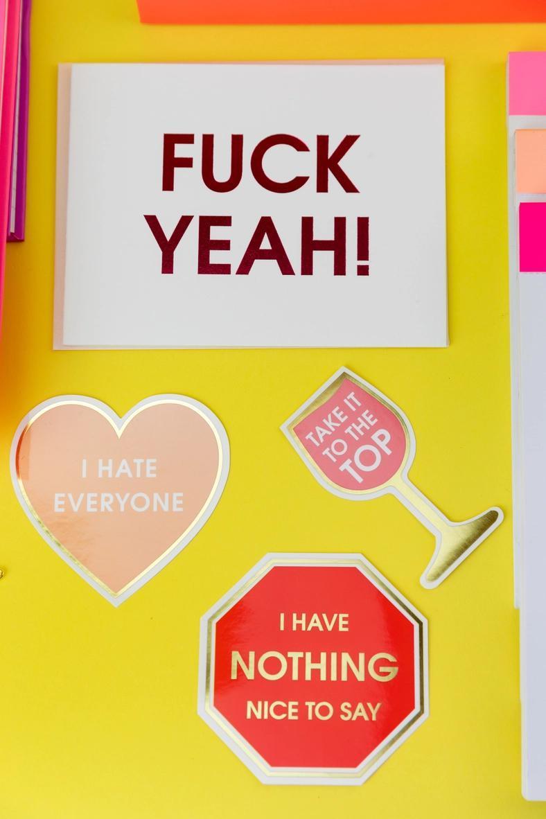 I Have Nothing Nice To Say - Stop Sign - Funny Vinyl Sticker