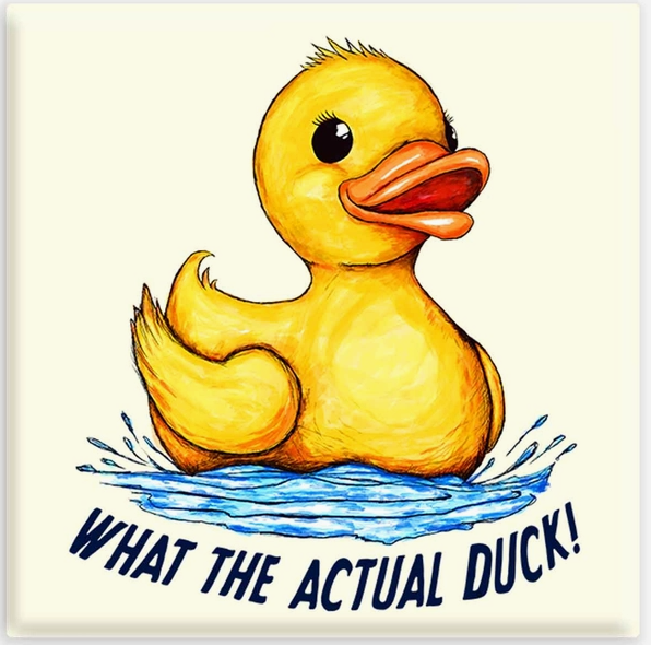 Duck Magnet