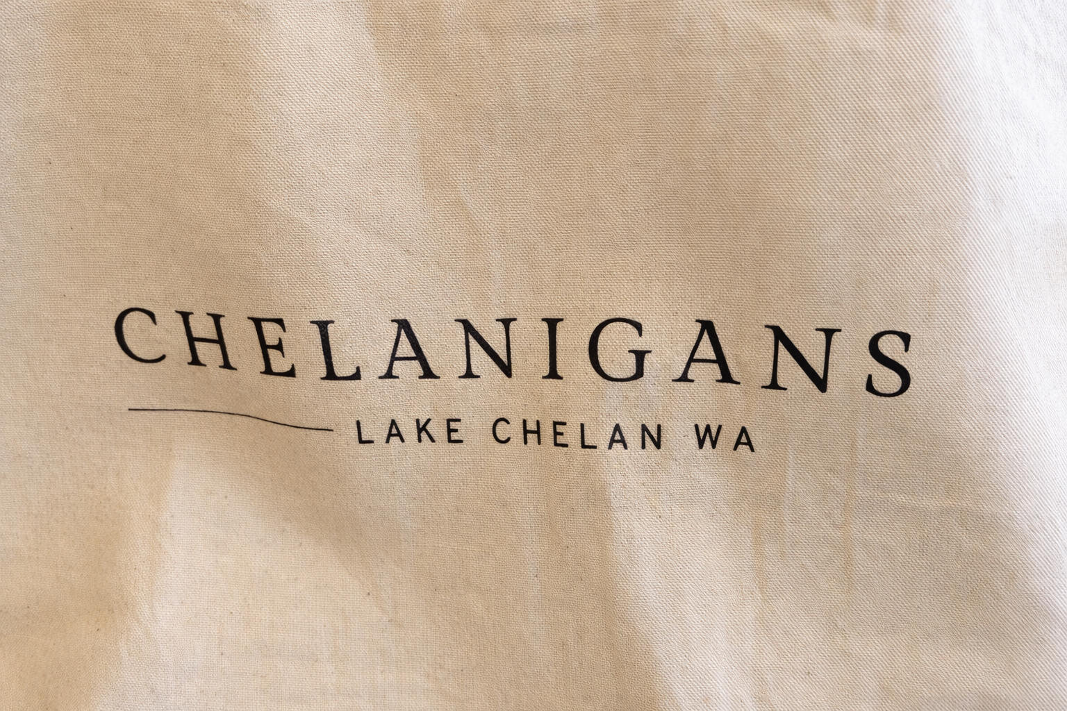 Chelanigans Lake Chelan Tote Bag