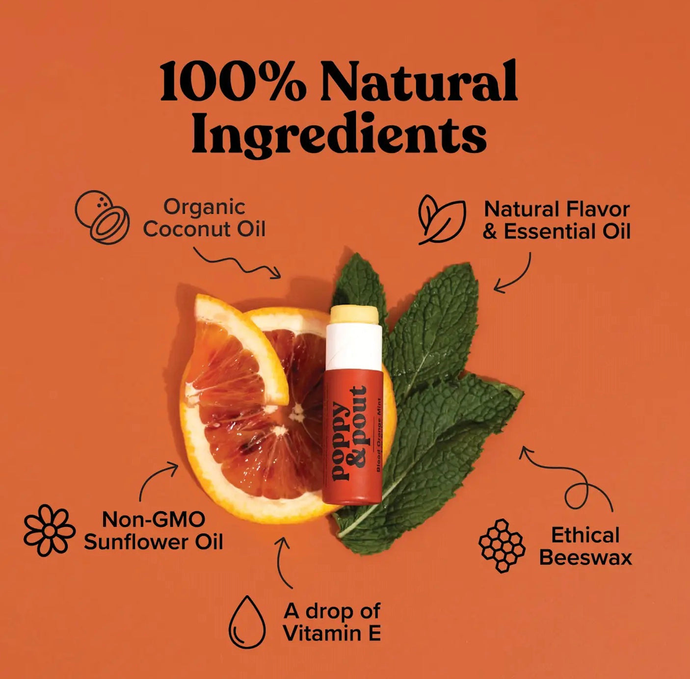 Lip Balm