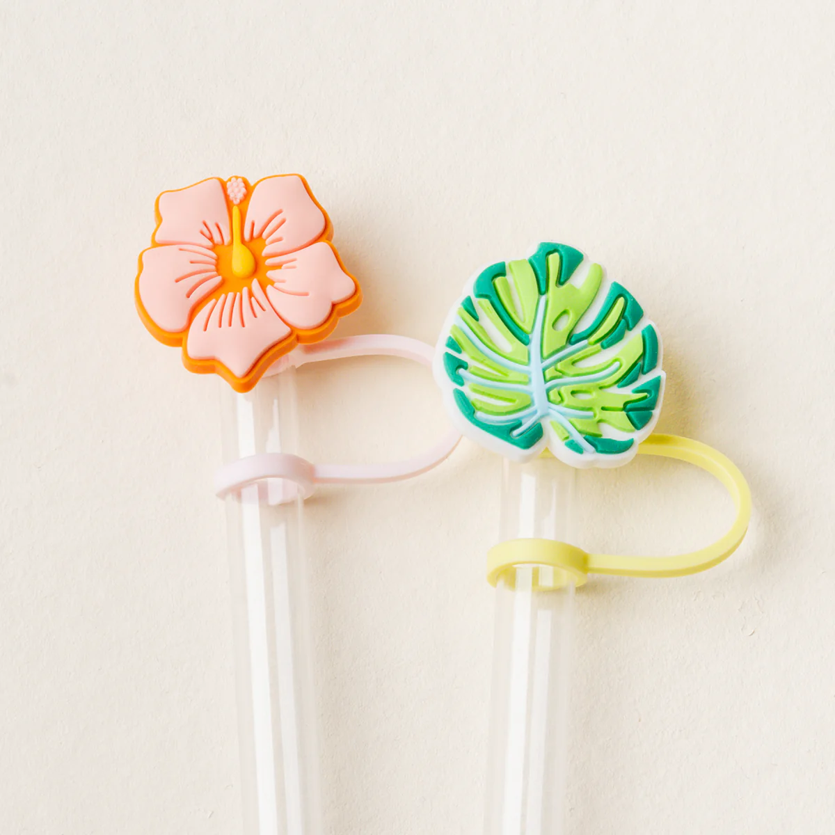 Straw Topper Set